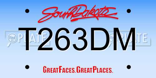T263DM South Dakota License Plate