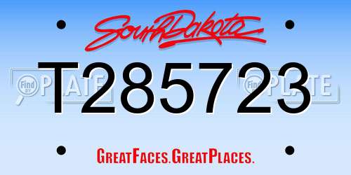 T285723 South Dakota License Plate