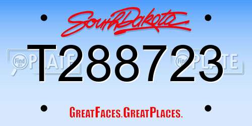 T288723 South Dakota License Plate