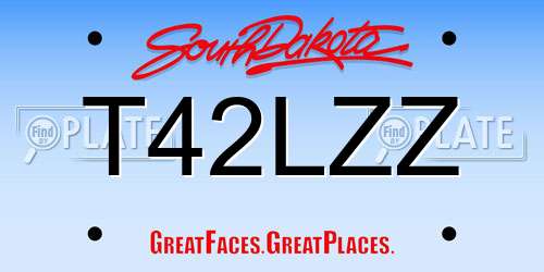 T42LZZ South Dakota License Plate