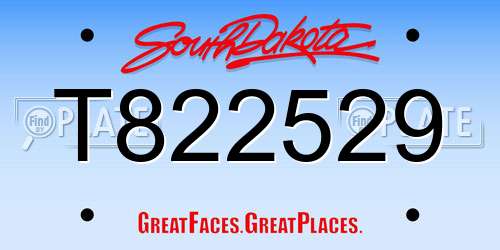 T822529 South Dakota License Plate