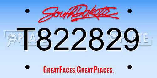 T822829 South Dakota License Plate