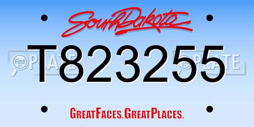 T823255 South Dakota License Plate