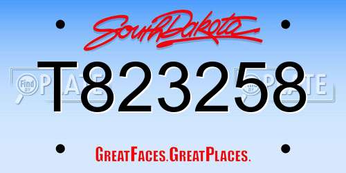 T823258 South Dakota License Plate