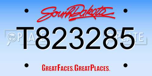T823285 South Dakota License Plate