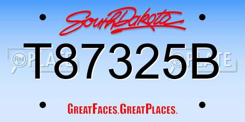 T87325B South Dakota License Plate