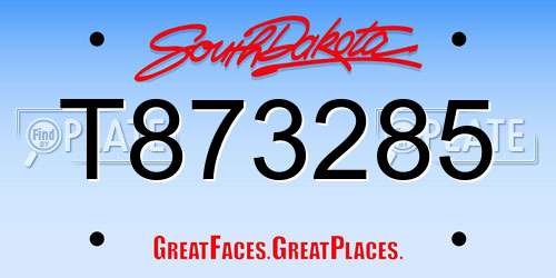 T873285 South Dakota License Plate