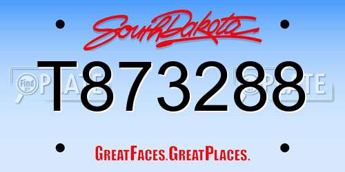 T873288 South Dakota License Plate