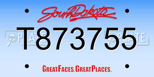 T873755 South Dakota License Plate