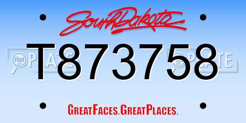 T873758 South Dakota License Plate