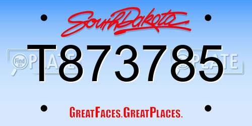 T873785 South Dakota License Plate