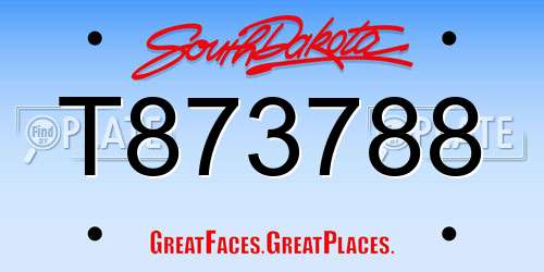 T873788 South Dakota License Plate