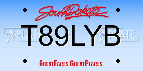 T89LYB South Dakota License Plate