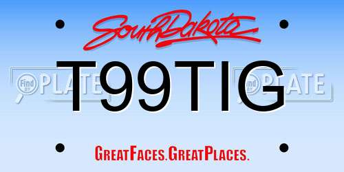T99TIG South Dakota License Plate