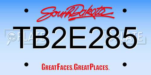 TB2E285 South Dakota License Plate