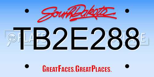 TB2E288 South Dakota License Plate