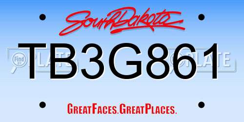 TB3G861 South Dakota License Plate