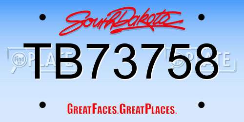TB73758 South Dakota License Plate