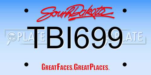 TBI699 South Dakota License Plate