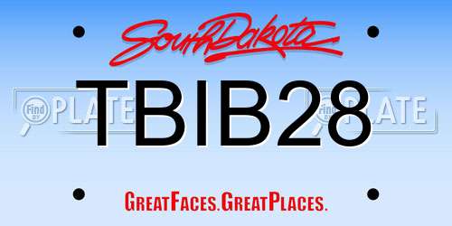TBIB28 South Dakota License Plate