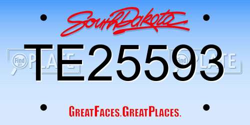 TE25593 South Dakota License Plate