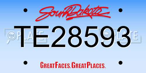 TE28593 South Dakota License Plate