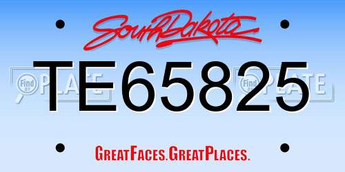 TE65825 South Dakota License Plate
