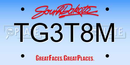 TG3T8M South Dakota License Plate