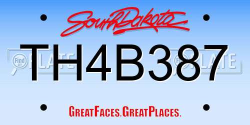 TH4B387 South Dakota License Plate