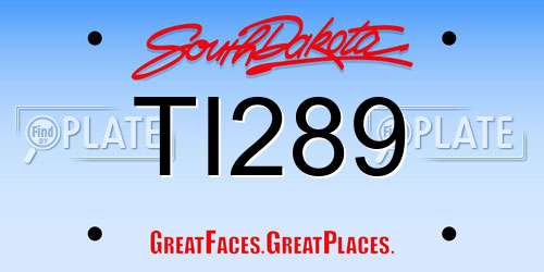 TI289 South Dakota License Plate