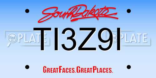 TI3Z9I South Dakota License Plate