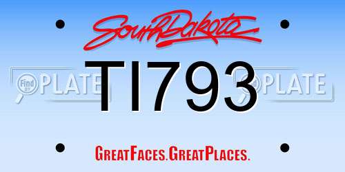 TI793 South Dakota License Plate