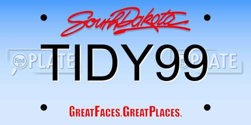 TIDY99 South Dakota License Plate