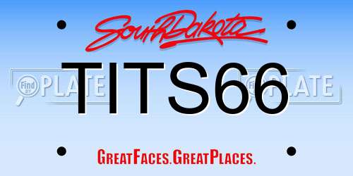 TITS66 South Dakota License Plate