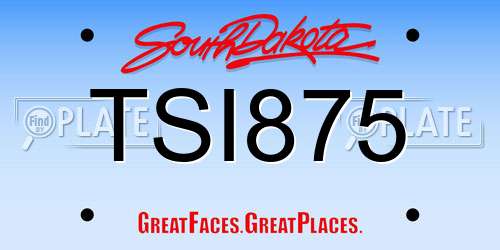 TSI875 South Dakota License Plate