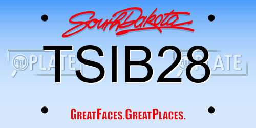 TSIB28 South Dakota License Plate
