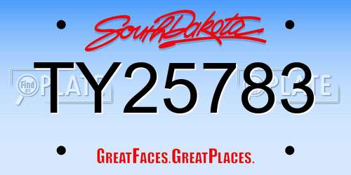TY25783 South Dakota License Plate