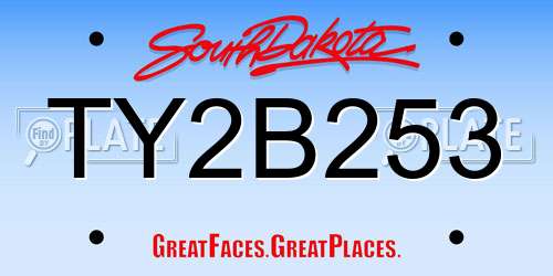 TY2B253 South Dakota License Plate