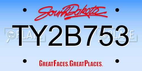 TY2B753 South Dakota License Plate