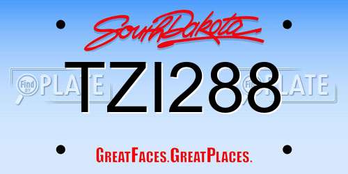 TZI288 South Dakota License Plate