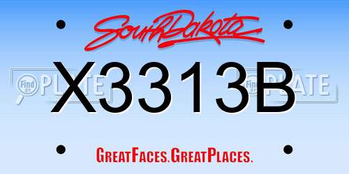 X3313B South Dakota License Plate