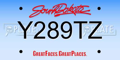 Y289TZ South Dakota License Plate
