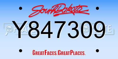 Y847309 South Dakota License Plate