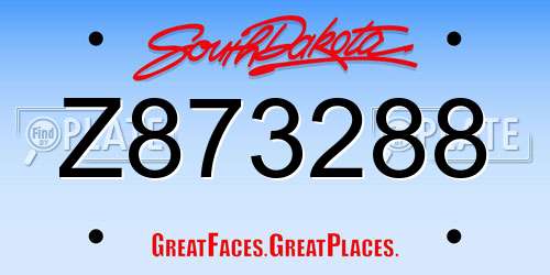 Z873288 South Dakota License Plate