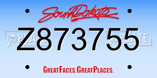 Z873755 South Dakota License Plate