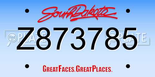 Z873785 South Dakota License Plate