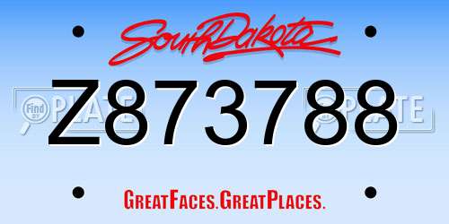 Z873788 South Dakota License Plate