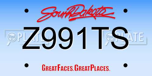 Z991TS South Dakota License Plate