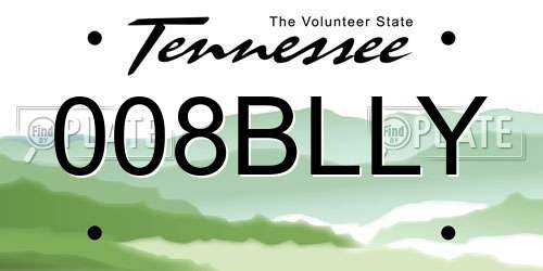 008BLLY Tennessee License Plate