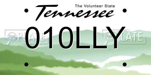 010LLY Tennessee License Plate